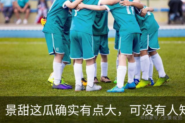 景甜这瓜确实有点大，可没有人知道，她当红那些年谁是她的金主爸爸？