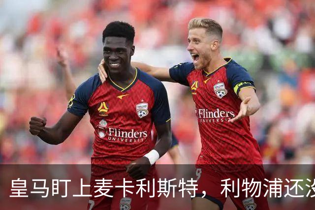 皇马盯上麦卡利斯特，利物浦还没启动续约谈判